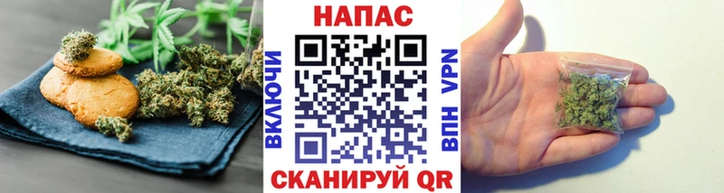 mega ONION  Ильский  Canna-Cookies конопля 